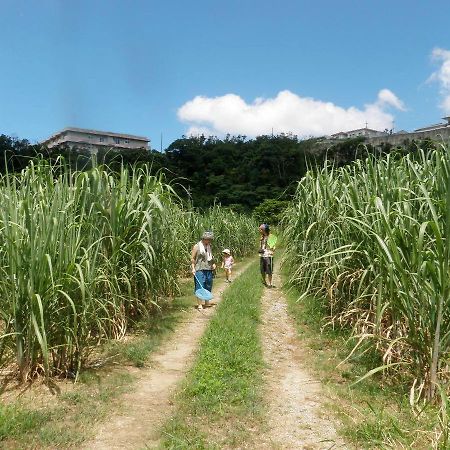 Okinawa Hostel Yanbaru Fukuro Наго Экстерьер фото