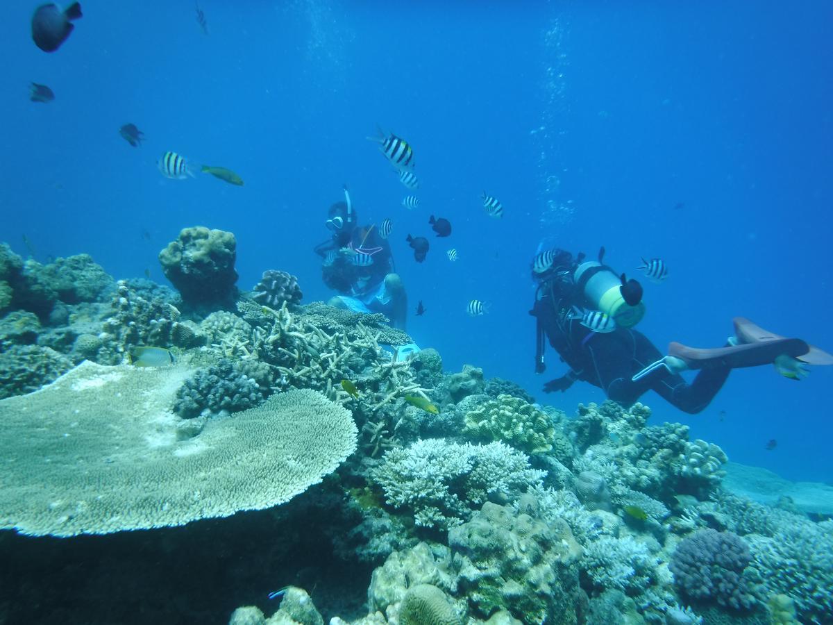 Okinawa Hostel Yanbaru Fukuro Наго Экстерьер фото